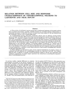 relation between cell size and response characteristics of