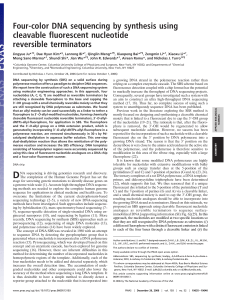 Four-color DNA sequencing by synthesis using cleavable