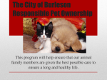 The City of Burleson Responsible Pet Ownership