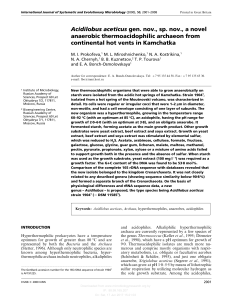Acidilobus aceticus gen. nov., sp. nov., a novel anaerobic
