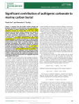 Significant contribution of authigenic carbonate to marine carbon