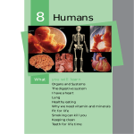 3 -Humans