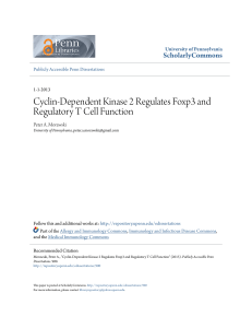 Cyclin-Dependent Kinase 2 Regulates Foxp3 and Regulatory T Cell