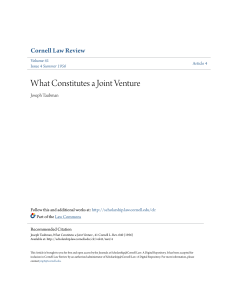 What Constitutes a Joint Venture