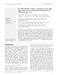 The PB2 E627K mutation contributes to the high polymerase activity