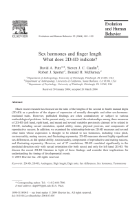 Sex hormones and finger length: What