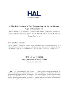A Haploid System of Sex Determination in the Brown Alga - Hal-CEA