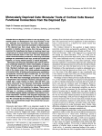 Monocularly Deprived Cats: Binocular Tests of Cortical Cells Reveal