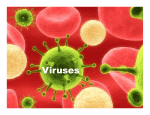 Viruses