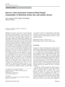 Quercus rubra-associated ectomycorrhizal fungal communities of