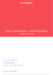 Energy Transformation — Cellular Respiration