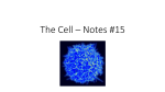 The Cell - davis.k12.ut.us