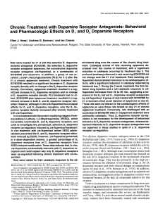 Chronic Treatment with Dopamine Receptor Antagonists