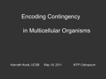 Encoding Contingency in Multicellular Organisms