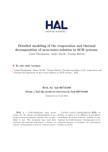 Detailed modeling of the evaporation and thermal decomposition of