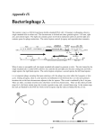 34 Lambda Appendix - RIT