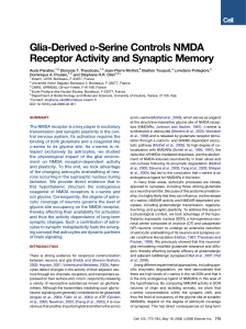Glia-Derived D-Serine Controls NMDA Receptor Activity and