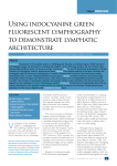 Using indocyanine green fluorescent lymphography to demonstrate