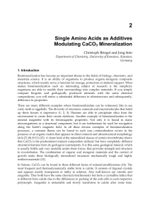 Single Amino Acids as Additives Modulating CaCO3 Mineralization