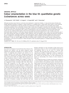 Colour ornamentation in the blue tit: quantitative genetic