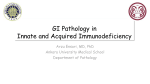 GI Pathology in Innate and Acquired Immunodeficiency