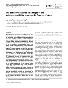 The actin cytoskeleton is a target of the self