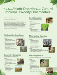 Top Ten Abiotic Disorders and Cultural Problems of Woody