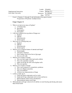exam 2 review pdf - Iowa State University