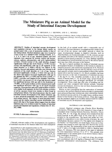 The Miniature Pig as an Animal Model for the Study of