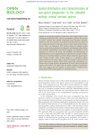 Spatial distribution and characterization of non