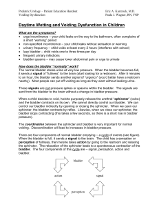 Daytime Wetting and Voiding Dysfunction in