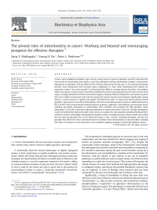 The pivotal roles of mitochondria in cancer: Warburg and beyond