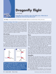 Dragonfly flight - Jane Wang, Cornell