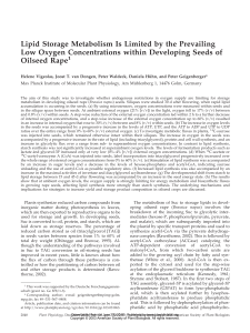 Lipid Storage Metabolism Is Limited by the