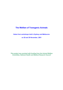 The Welfare of Transgenic Animals