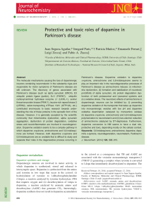 Protective and toxic roles of dopamine in Parkinsons disease