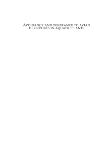 avoidance and tolerance to avian herbivores in aquatic plants