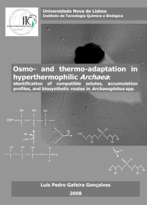 Osmo- and thermo-adaptation in hyperthermophilic Archaea