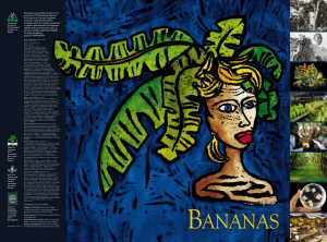 bananas - Bioversity International