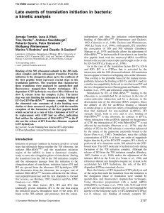 Late events of translation initiation in bacteria: a kinetic analysis