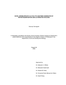 NOVEL SPERM-SPECIFIC GLYCOLYTIC ISOZYMES GENERATED