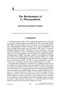 The Biochemistry of C 4 Photosynthesis