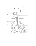 tutor.com: Respiratory System http://www.lessontutor.com/jm_respirato