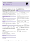 p16 (N-20): sc-467 - Santa Cruz Biotechnology