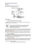 Structures and Life Processes of Plants Seed Plants Plant