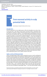 1From neuronal activity to scalp potential fields - Assets