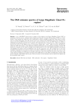 The PAH emission spectra of Large Magellanic Cloud H II regions