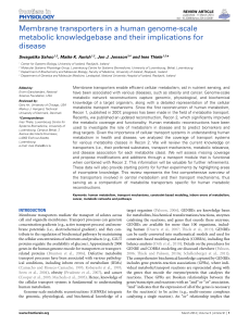 Membrane transporters in a human genome