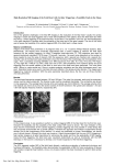 High Resolution MR Imaging of the Fetal Heart with Cardiac