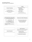 Exercise and Cellular Respiration